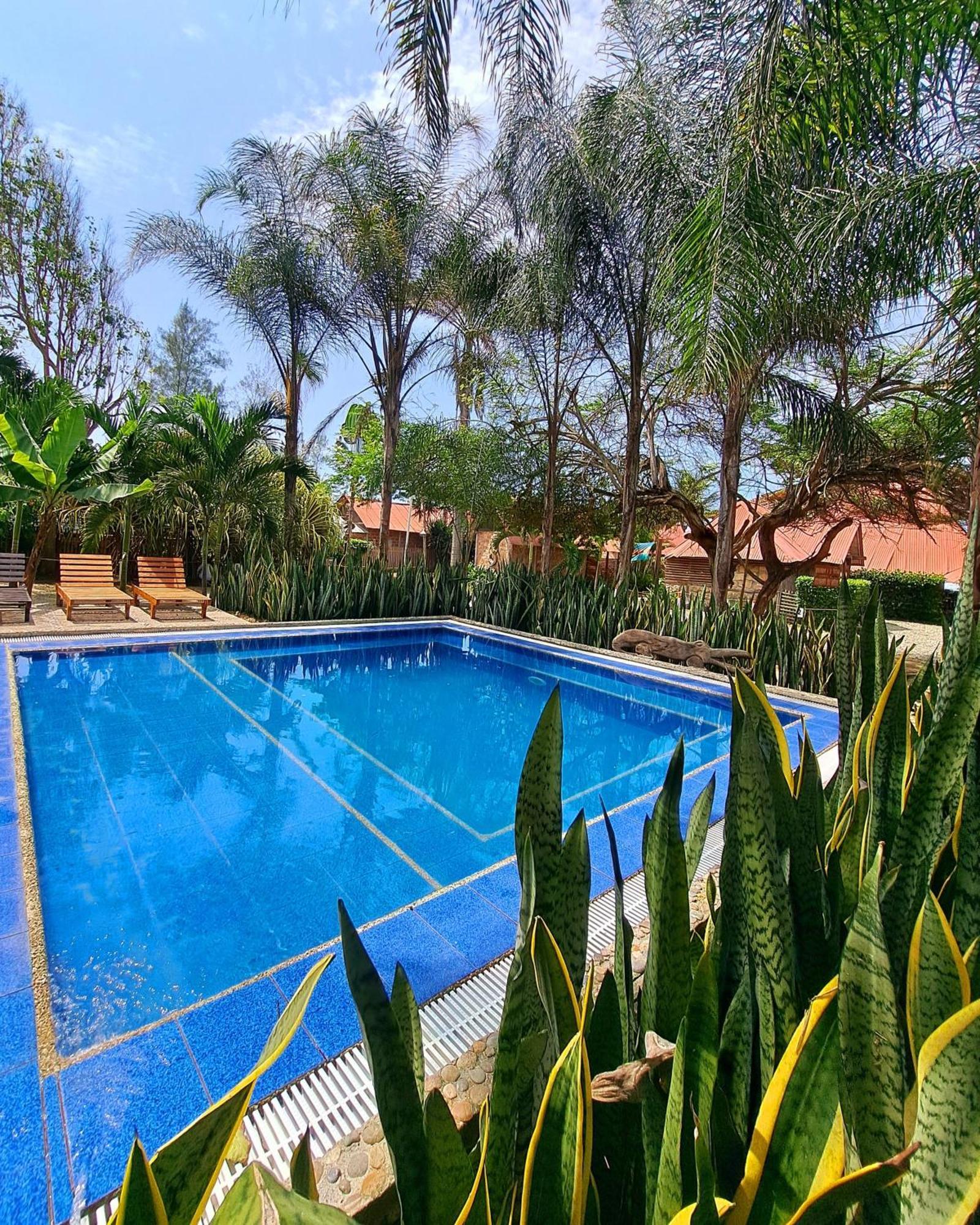 Cabanas La Tortuga Аямпе Екстериор снимка